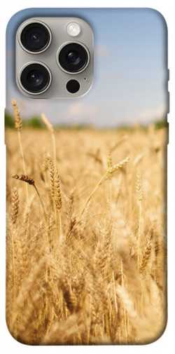 Чехол itsPrint Поле пшеницы для Apple iPhone 15 Pro Max (6.7")