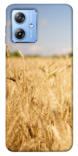 Чехол itsPrint Поле пшеницы для Motorola Moto G84