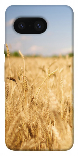 Чехол itsPrint Поле пшеницы для Google Pixel 8