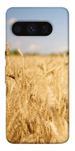 Чехол itsPrint Поле пшеницы для Google Pixel 8 Pro