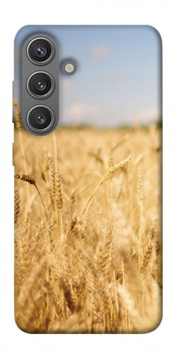 Чехол itsPrint Поле пшеницы для Samsung Galaxy S24