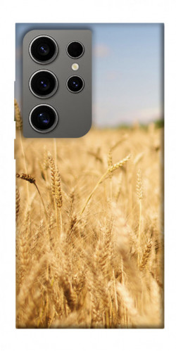 Чехол itsPrint Поле пшеницы для Samsung Galaxy S24 Ultra