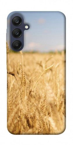 Чехол itsPrint Поле пшеницы для Samsung Galaxy A25 5G
