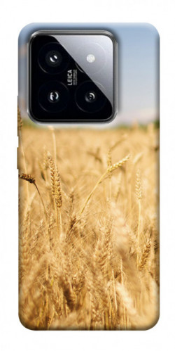 Чехол itsPrint Поле пшеницы для Xiaomi 14 Pro