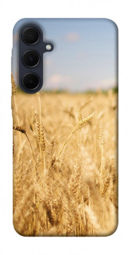 Чехол itsPrint Поле пшеницы для Samsung Galaxy A55