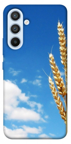 Чохол itsPrint Пшениця для Samsung Galaxy A54 5G