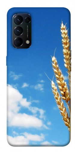 Чехол itsPrint Пшеница для Oppo Reno 5 4G