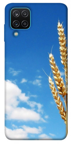 Чехол itsPrint Пшеница для Samsung Galaxy M12