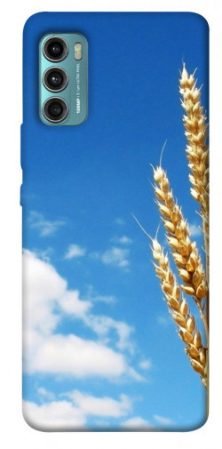 Чехол itsPrint Пшеница для Motorola Moto G60