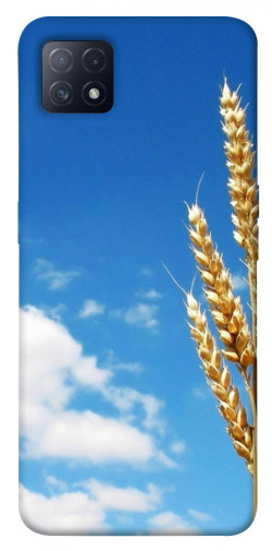 Чехол itsPrint Пшеница для Oppo A72 5G / A73 5G