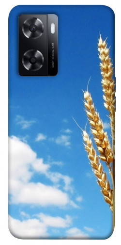 Чехол itsPrint Пшеница для Oppo A57s