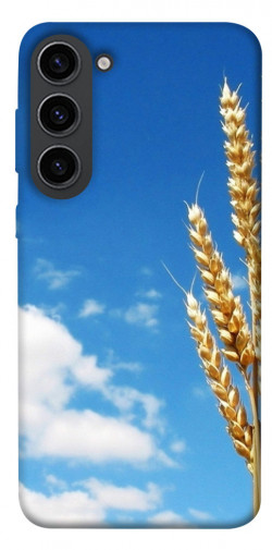 Чохол itsPrint Пшениця для Samsung Galaxy S23