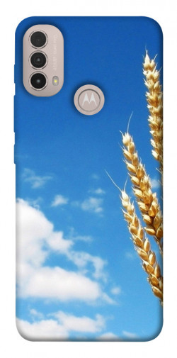 Чехол itsPrint Пшеница для Motorola Moto E40