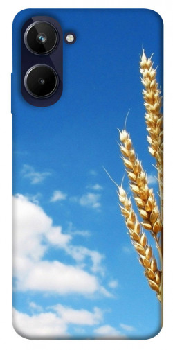 Чехол itsPrint Пшеница для Realme 10 4G
