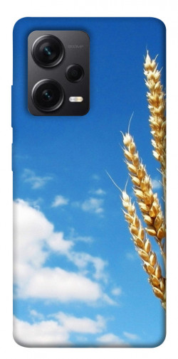 Чехол itsPrint Пшеница для Xiaomi Redmi Note 12 Pro+ 5G