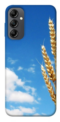 Чохол itsPrint Пшениця для Samsung Galaxy A14 4G/5G