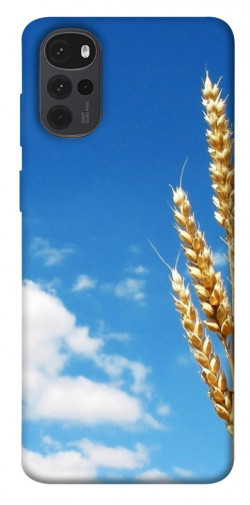 Чехол itsPrint Пшеница для Motorola Moto G22