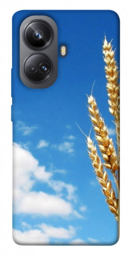 Чехол itsPrint Пшеница для Realme 10 Pro+