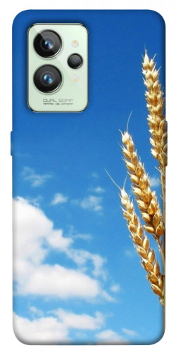 Чехол itsPrint Пшеница для Realme GT2