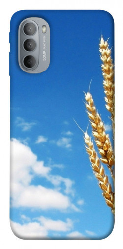 Чехол itsPrint Пшеница для Motorola Moto G31