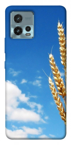 Чехол itsPrint Пшеница для Motorola Moto G72