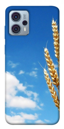 Чехол itsPrint Пшеница для Motorola Moto G23