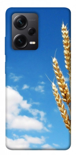 Чехол itsPrint Пшеница для Xiaomi Poco X5 Pro 5G