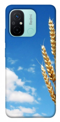 Чехол itsPrint Пшеница для Xiaomi Redmi 12C