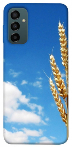 Чехол itsPrint Пшеница для Samsung Galaxy M14 5G