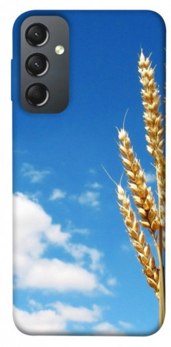 Чехол itsPrint Пшеница для Samsung Galaxy A24 4G