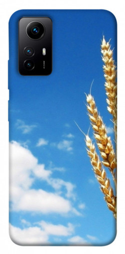 Чехол itsPrint Пшеница для Xiaomi Redmi Note 12S