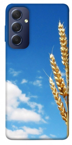 Чехол itsPrint Пшеница для Samsung Galaxy M54 5G