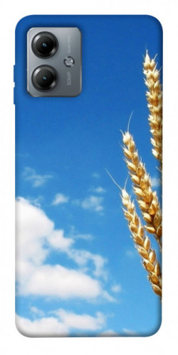 Чехол itsPrint Пшеница для Motorola Moto G14