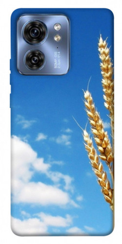 Чехол itsPrint Пшеница для Motorola Edge 40