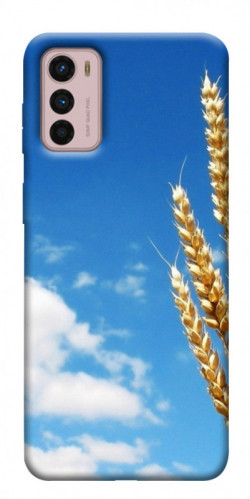 Чехол itsPrint Пшеница для Motorola Moto G42