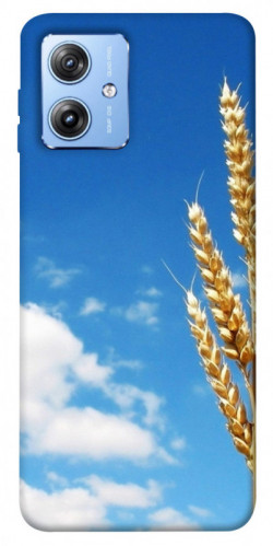 Чехол itsPrint Пшеница для Motorola Moto G84