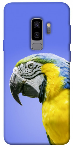 Чохол itsPrint Папуга ара для Samsung Galaxy S9+