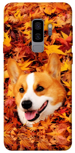 Чехол itsPrint Корги в листьях для Samsung Galaxy S9+