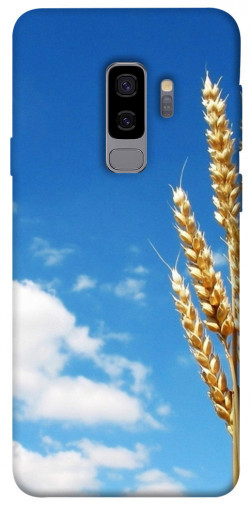 Чохол itsPrint Пшениця для Samsung Galaxy S9+