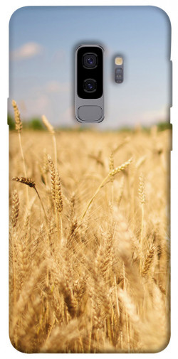 Чехол itsPrint Поле пшеницы для Samsung Galaxy S9+