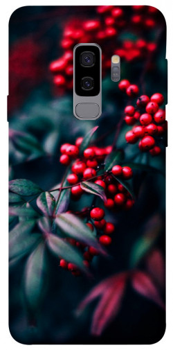 Чохол itsPrint Red berry для Samsung Galaxy S9+