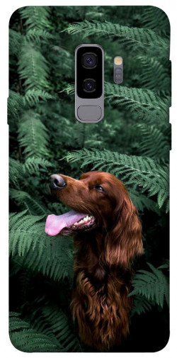 Чехол itsPrint Собака в зелени для Samsung Galaxy S9+