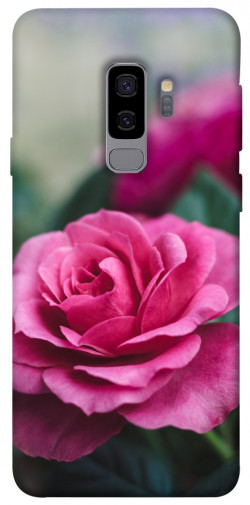Чехол itsPrint Роза в саду для Samsung Galaxy S9+