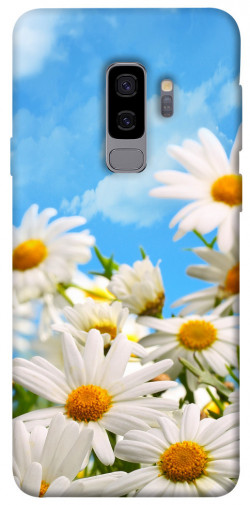 Чехол itsPrint Ромашковое поле для Samsung Galaxy S9+
