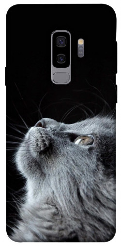 Чохол itsPrint Cute cat для Samsung Galaxy S9+