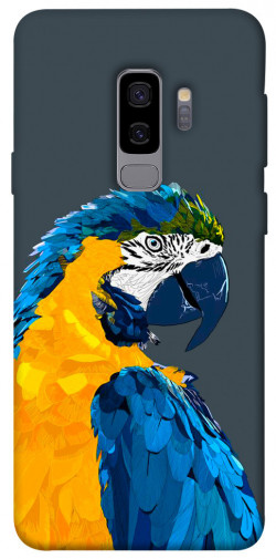 Чехол itsPrint Попугай для Samsung Galaxy S9+