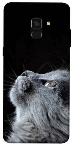 Чохол itsPrint Cute cat для Samsung A530 Galaxy A8 (2018)