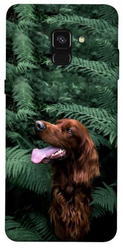 Чехол itsPrint Собака в зелени для Samsung A530 Galaxy A8 (2018)