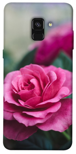 Чехол itsPrint Роза в саду для Samsung A530 Galaxy A8 (2018)