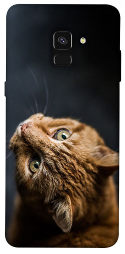 Чехол itsPrint Рыжий кот для Samsung A530 Galaxy A8 (2018)